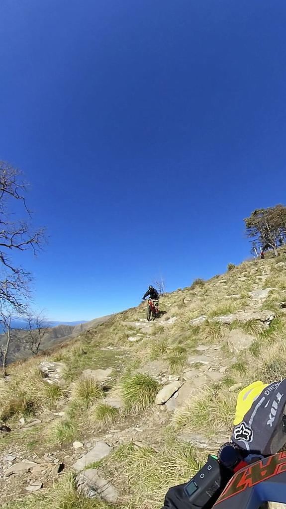 WhatsApp Image 2021-03-14 at 17.37.05 (1).jpeg